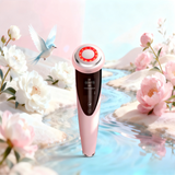 4 in 1 Ion Cleaning rejuvenation Device